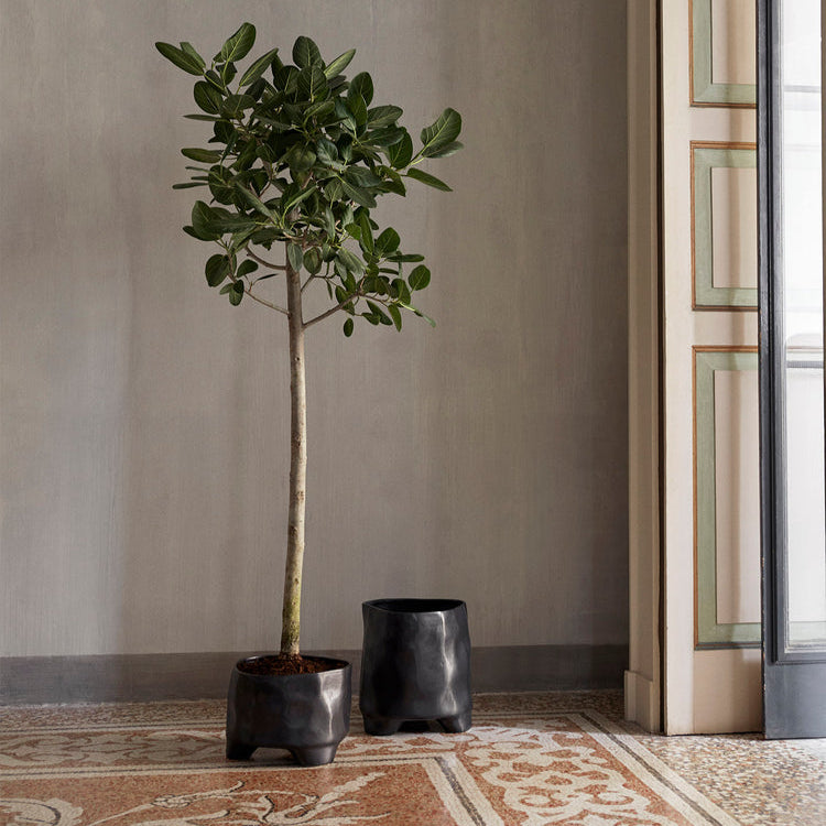 Esca Pot - Large - Black