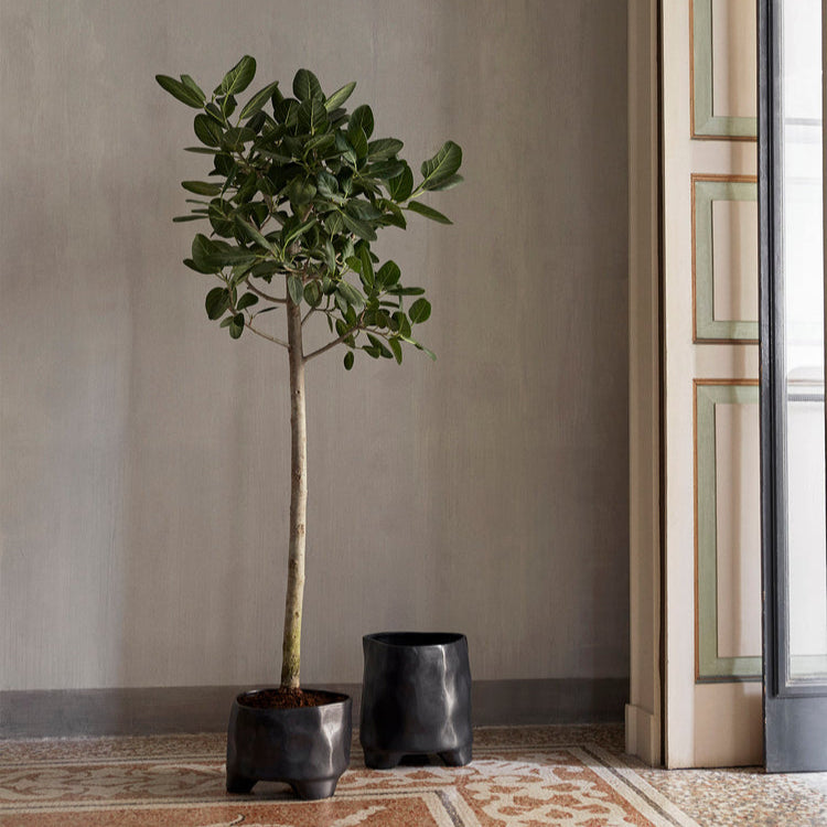 Esca Pot - XL - Black