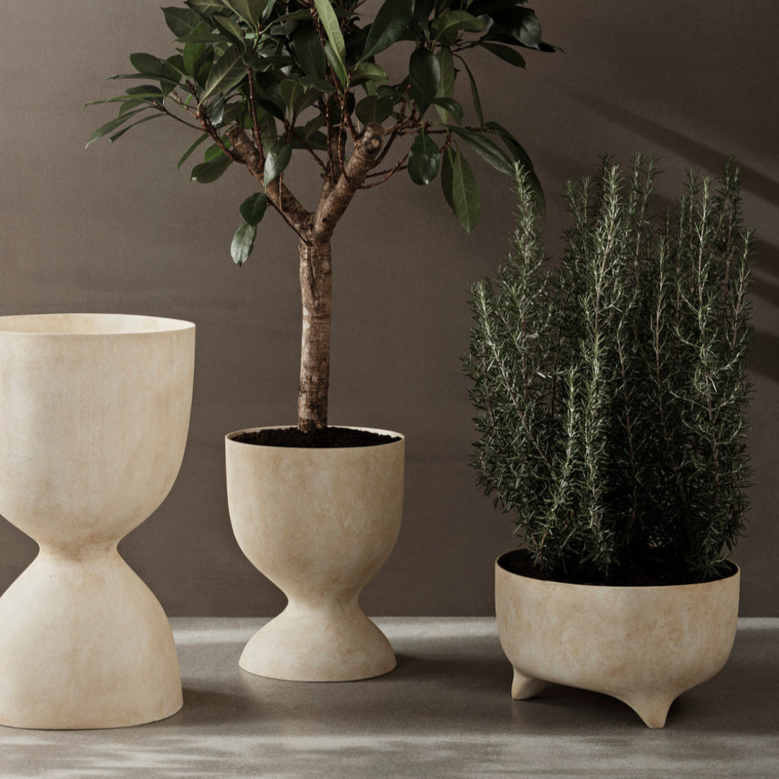 Evoke Pot - Low