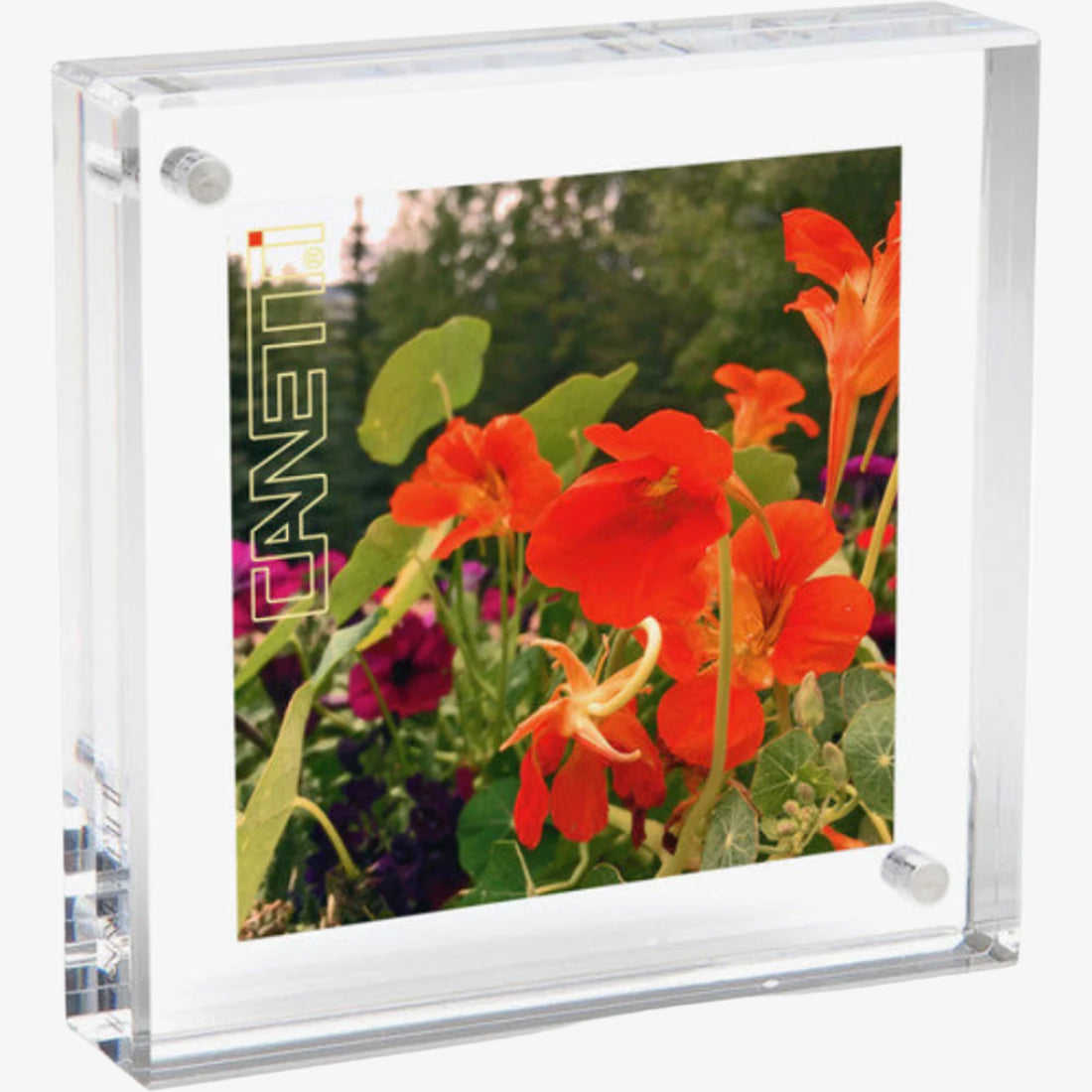Canetti Original Magnet Frame (2" x 2")