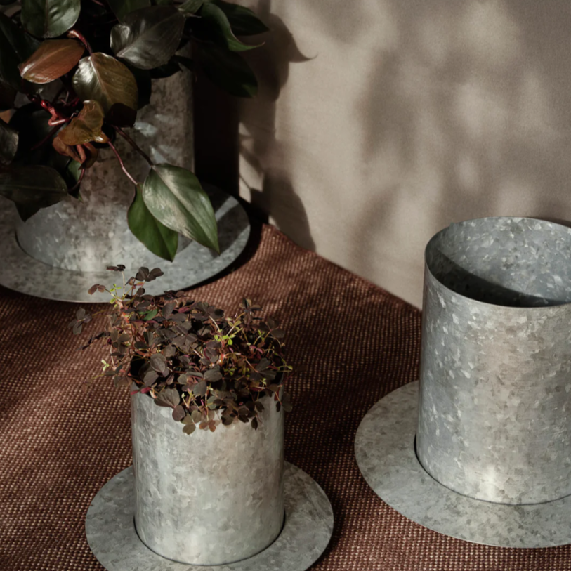 Auran Pot