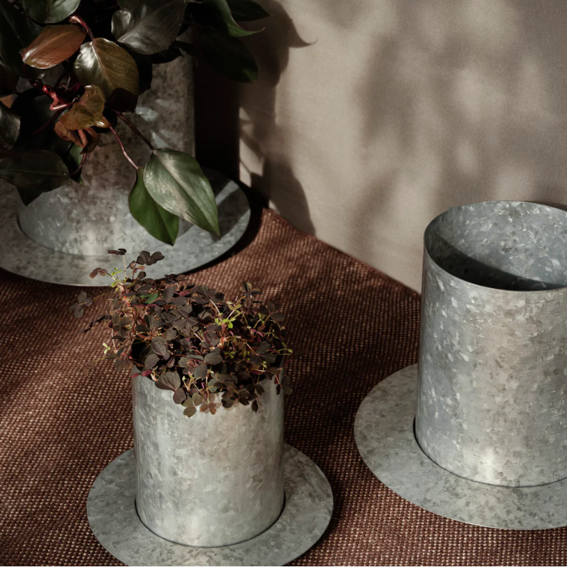 Auran Pot