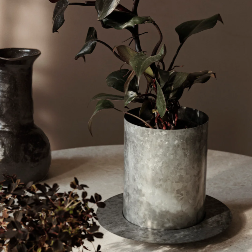 Auran Pot