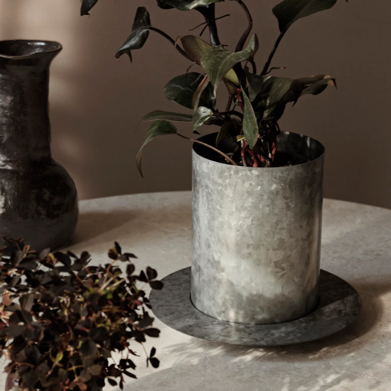 Auran Pot