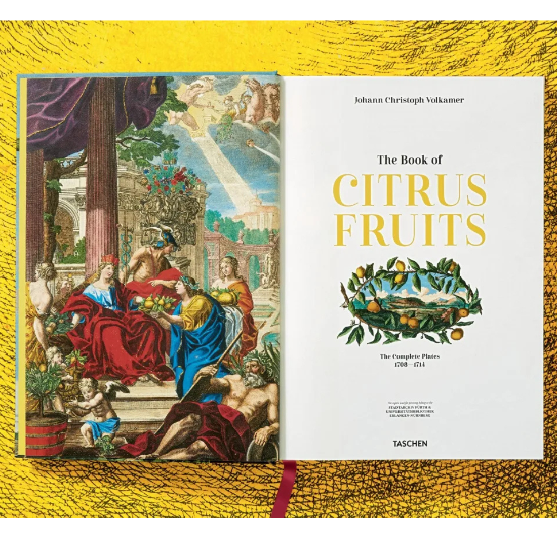 J. C. Volkamer. The Book of Citrus Fruits XXL