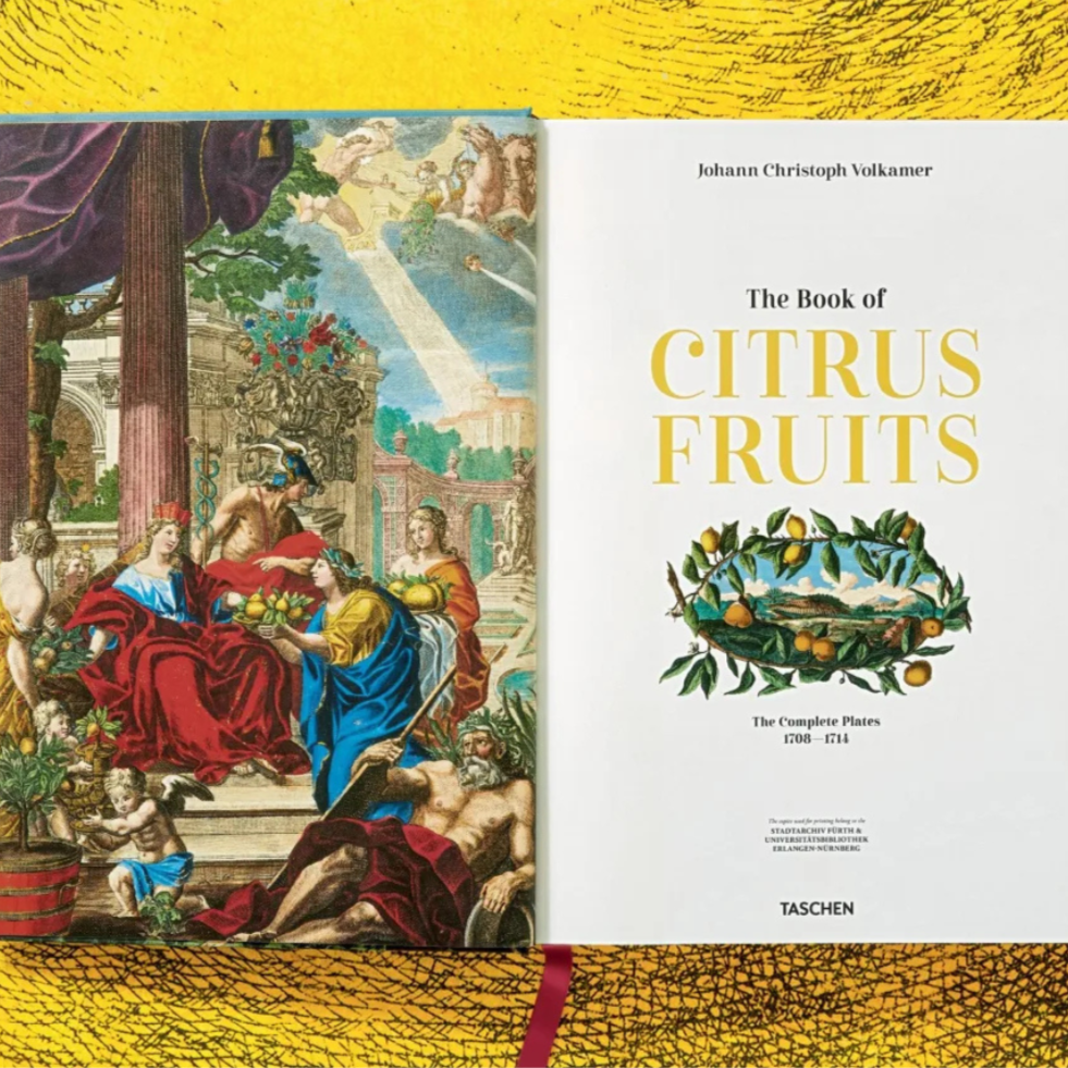 J. C. Volkamer. The Book of Citrus Fruits XXL