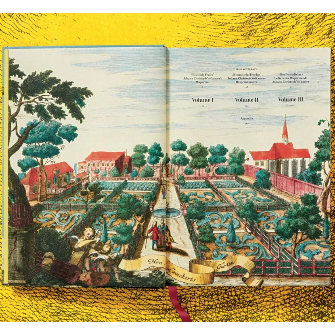 J. C. Volkamer. The Book of Citrus Fruits XXL