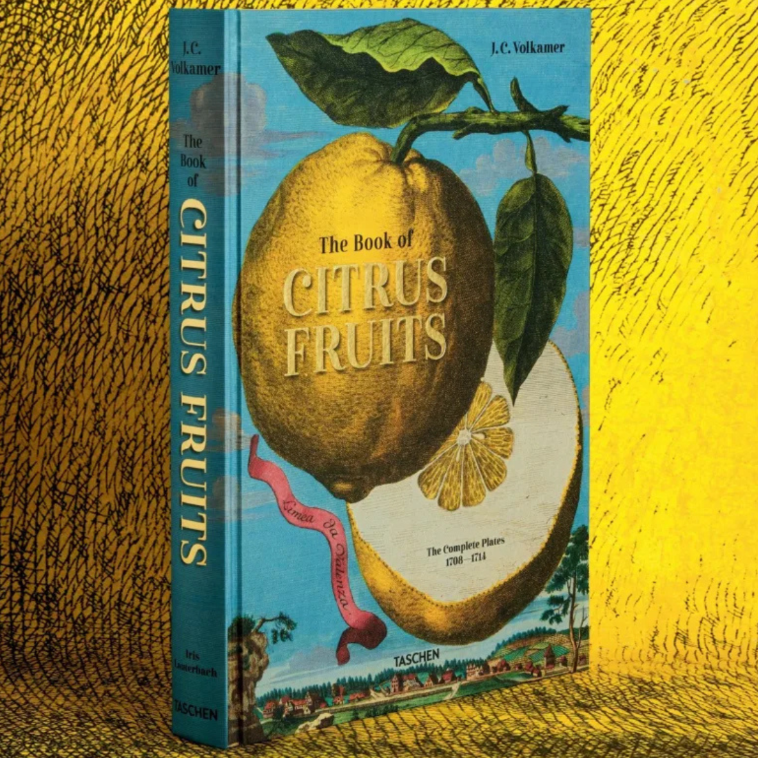 J. C. Volkamer. The Book of Citrus Fruits XXL