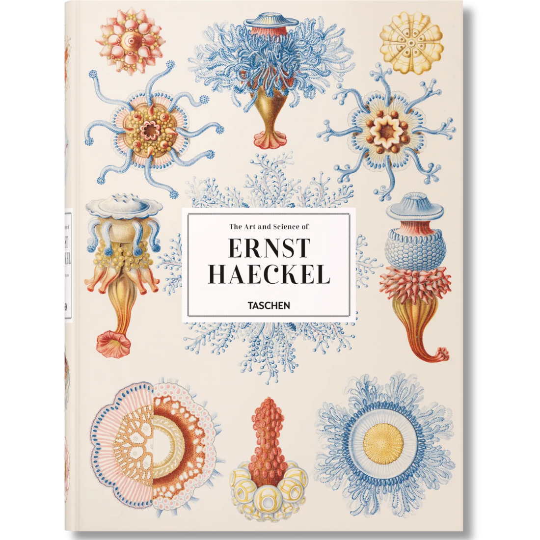 The Art and Science of Ernst Haeckel XXL