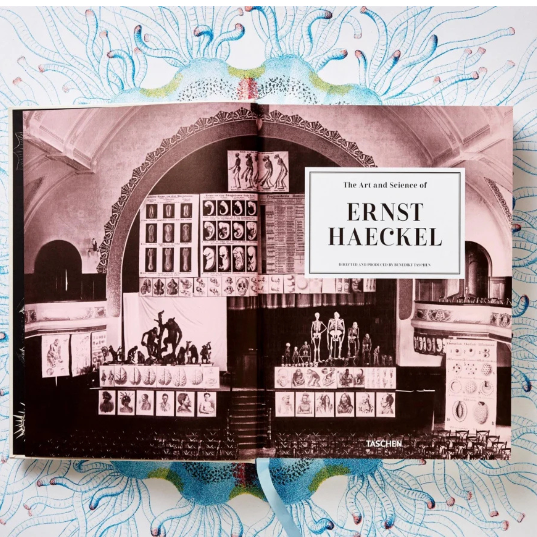 The Art and Science of Ernst Haeckel XXL