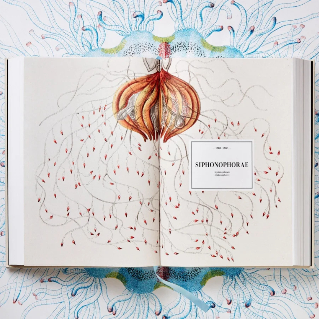 The Art and Science of Ernst Haeckel XXL