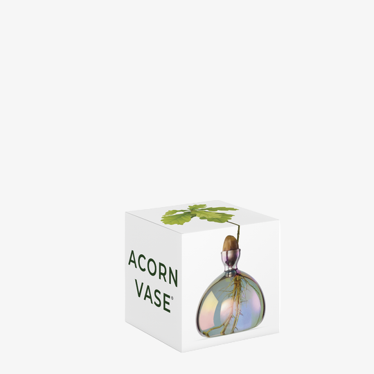 Acorn Vase - Cosmic Vega