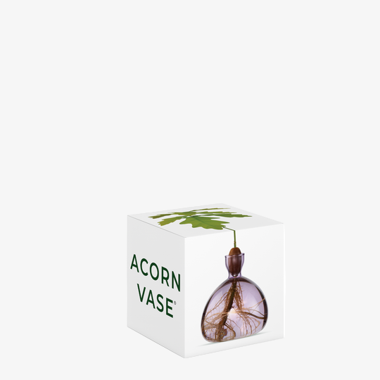 Acorn Vase  - Spring Lilac