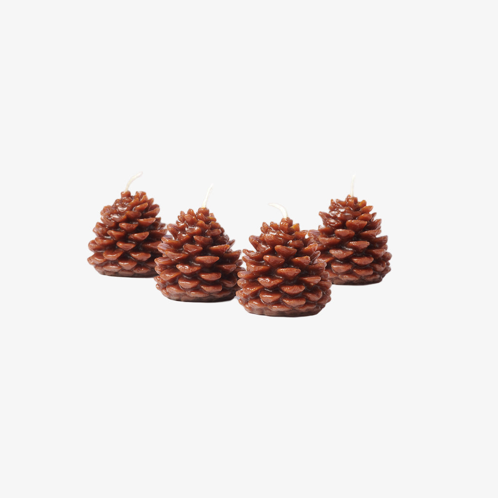 Wee Pine Cones (Expresso) - Boxed Set of 4