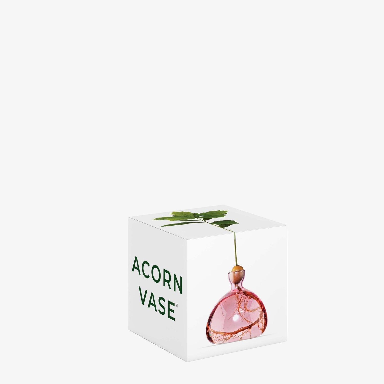 Acorn Vase - Rose Pink