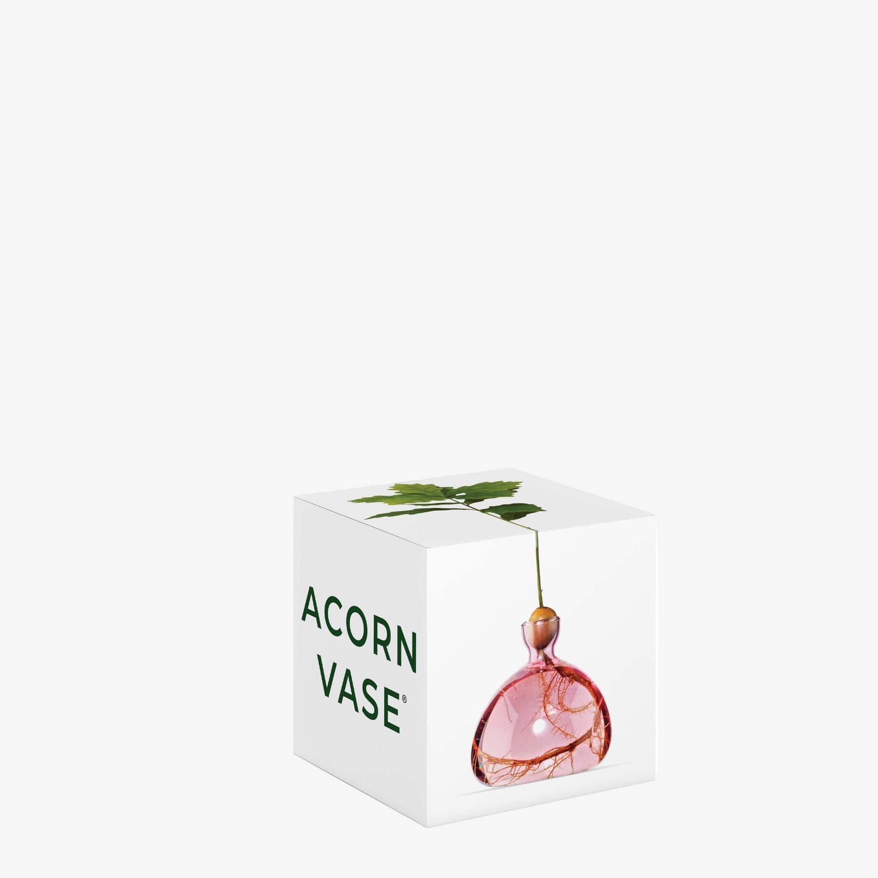 Acorn Vase - Rose Pink