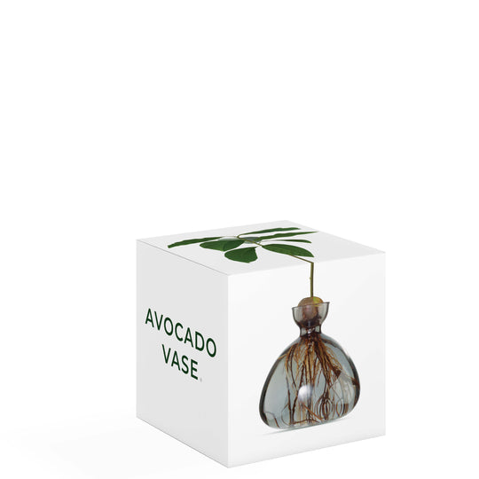 Avocado Vase - Smokey Grey