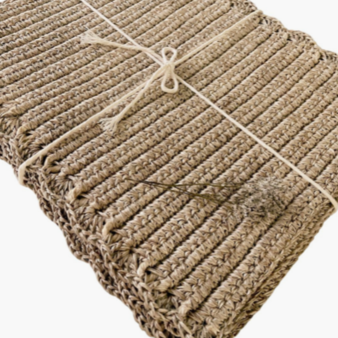 Woven Placemat Set of 4