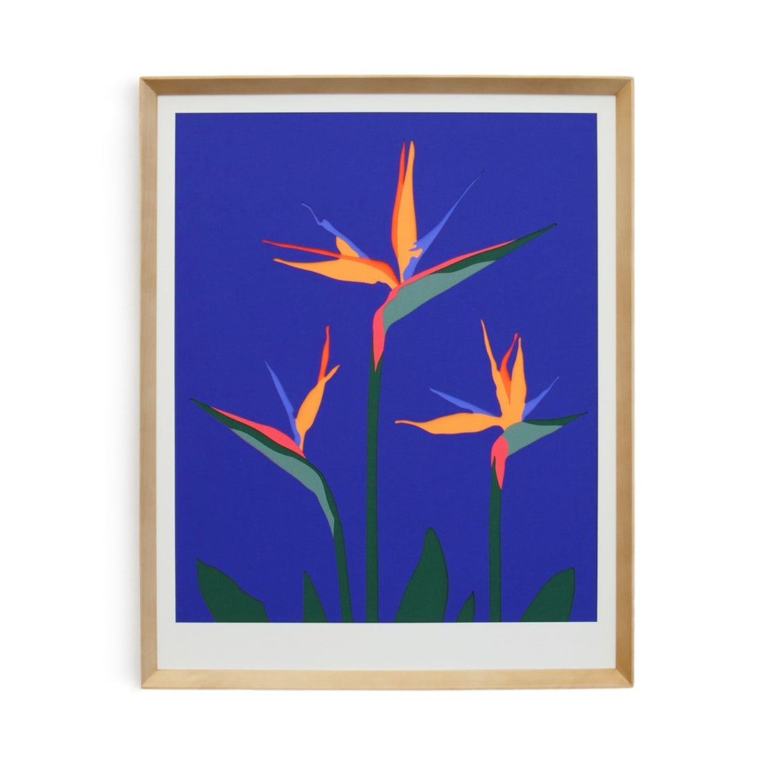 Lapis Bird of Paradise 16&