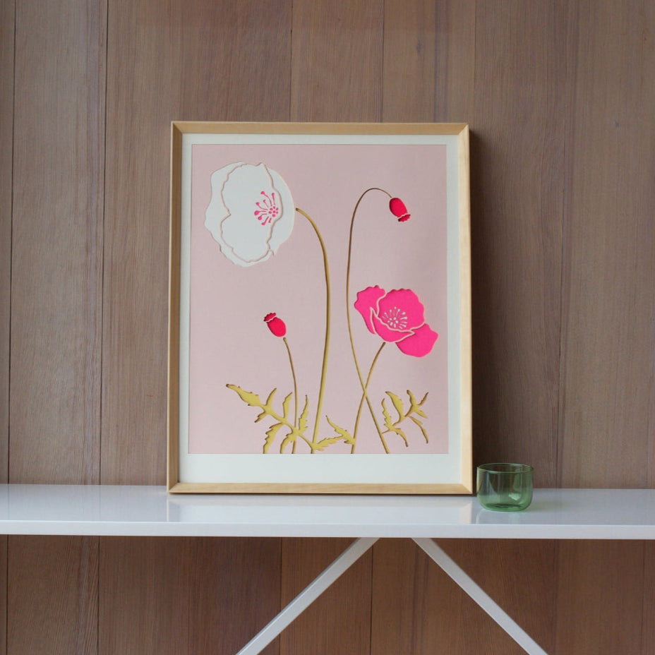 Pink Iceland Poppy