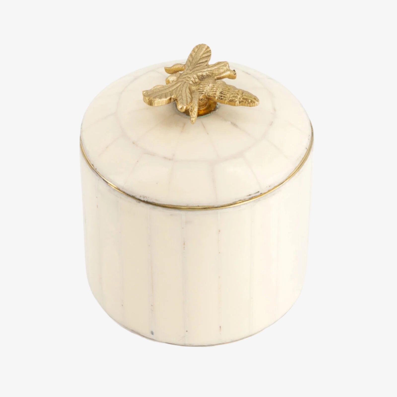 Queen Bee Circus Box