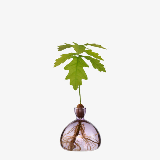 Acorn Vase - Spring Lilac