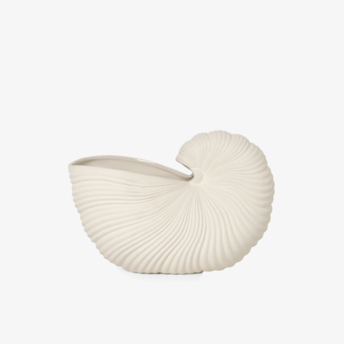 Shell Pot
