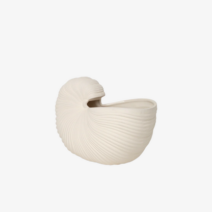 Shell Pot