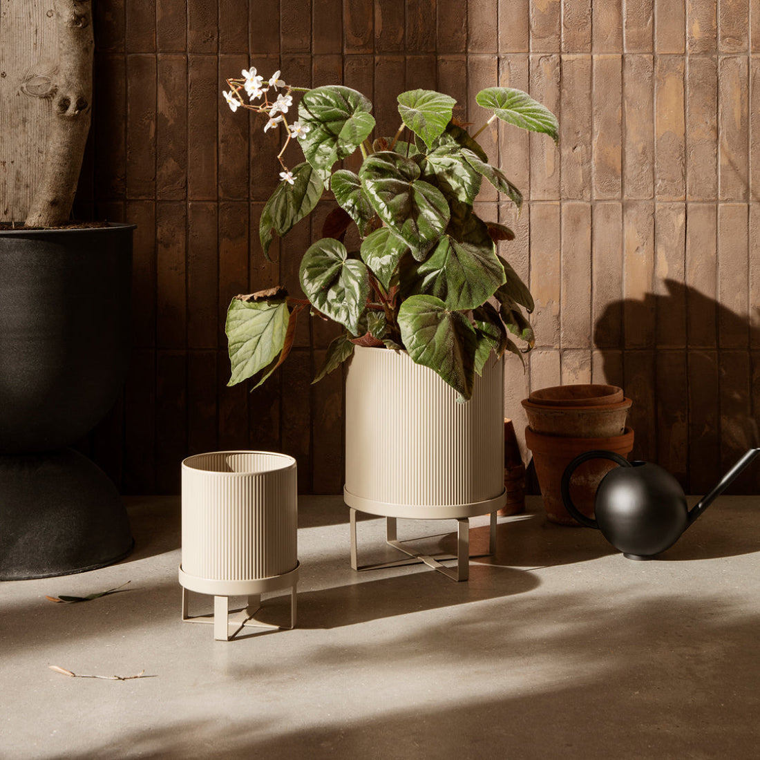 Bau Pot - Small