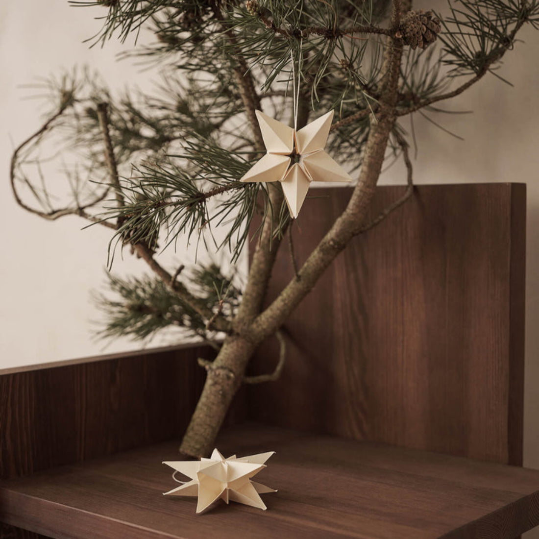 Amanda Paper Stars
