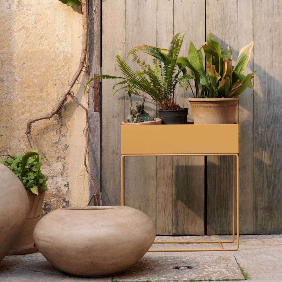 Plant Box