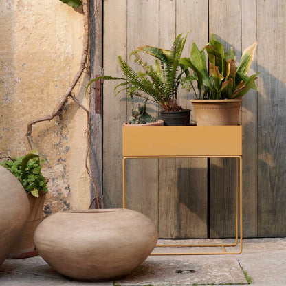 Plant Box