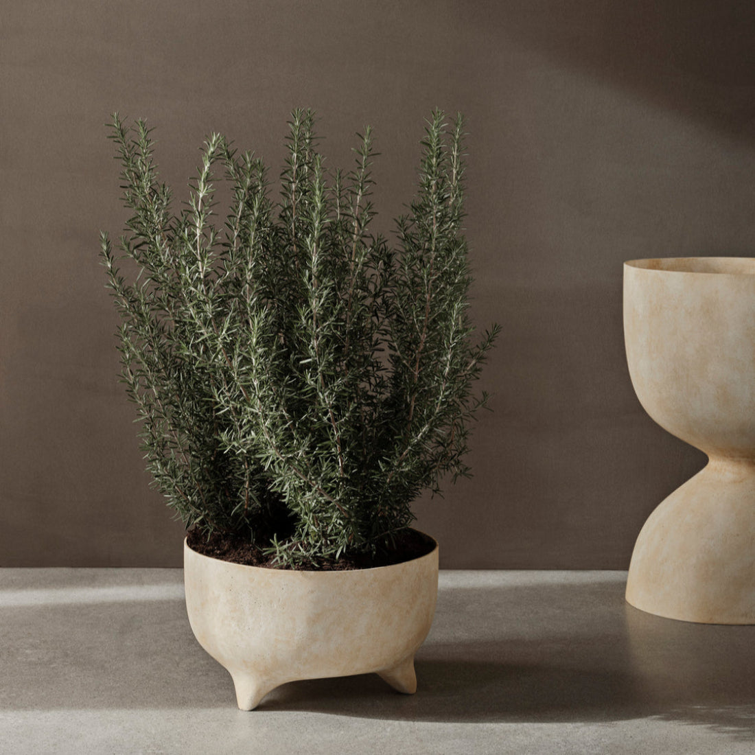 Evoke Pot - Low