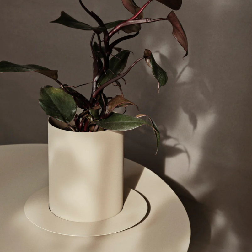 Auran Pot