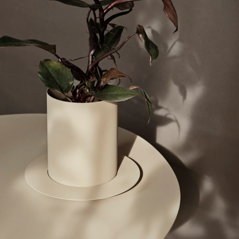 Auran Pot