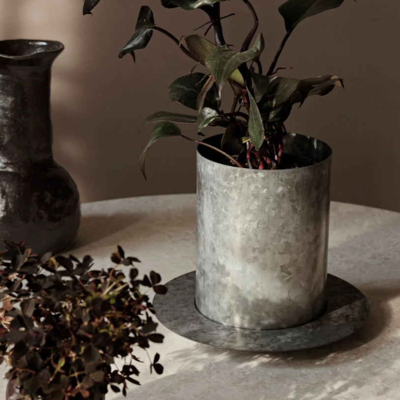 Auran Pot