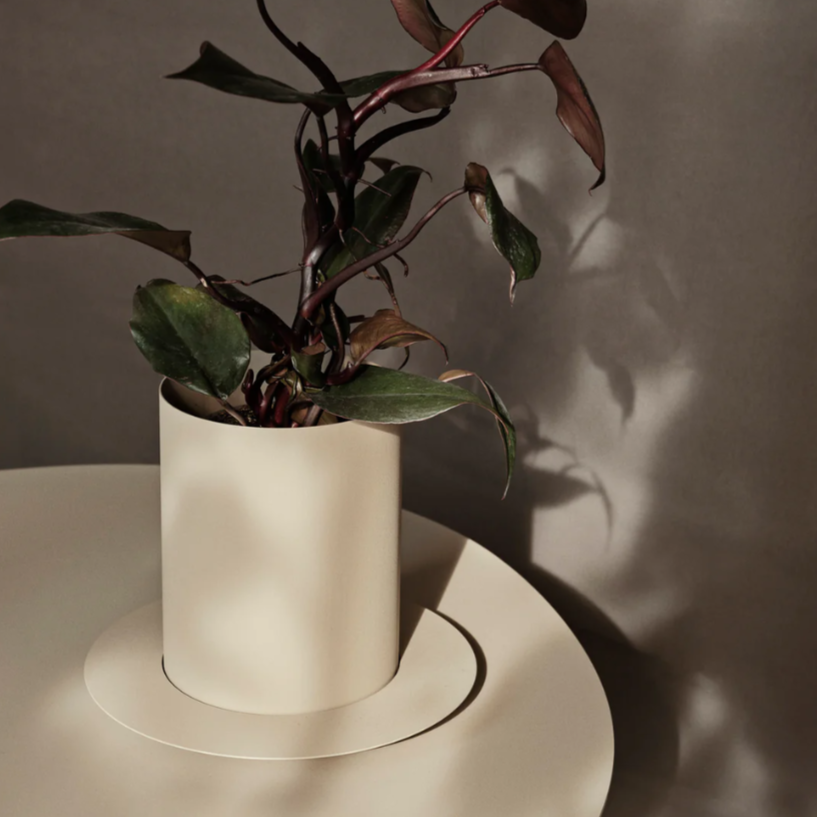 Auran Pot