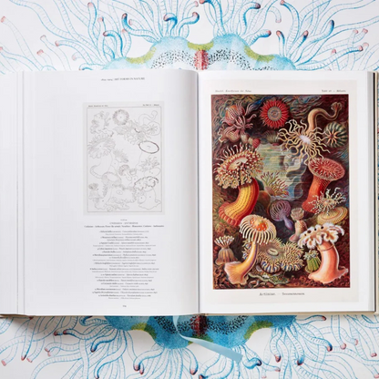 The Art and Science of Ernst Haeckel XXL