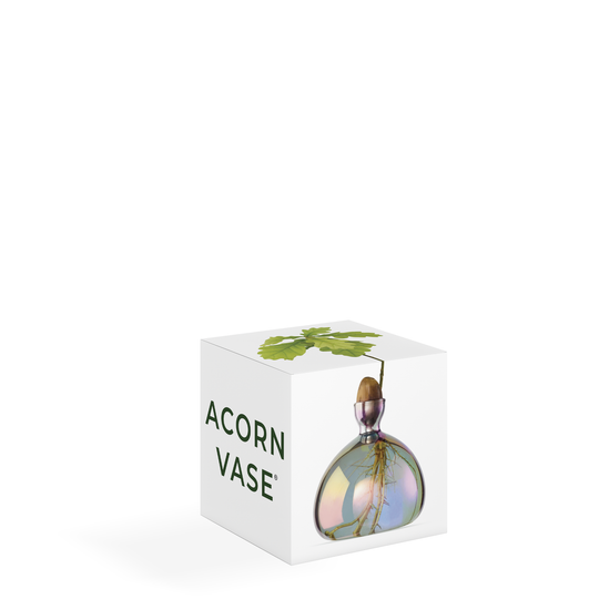 Acorn Vase  - Cosmic Vega