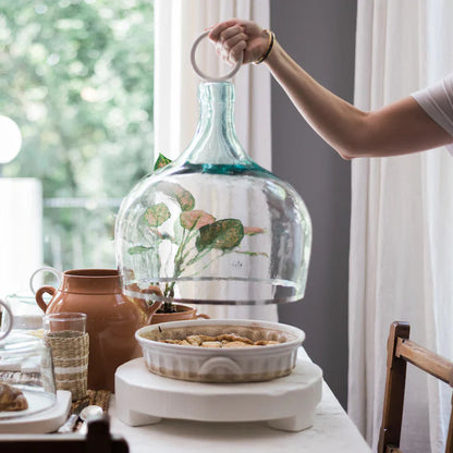 Bianca Glass Cloche