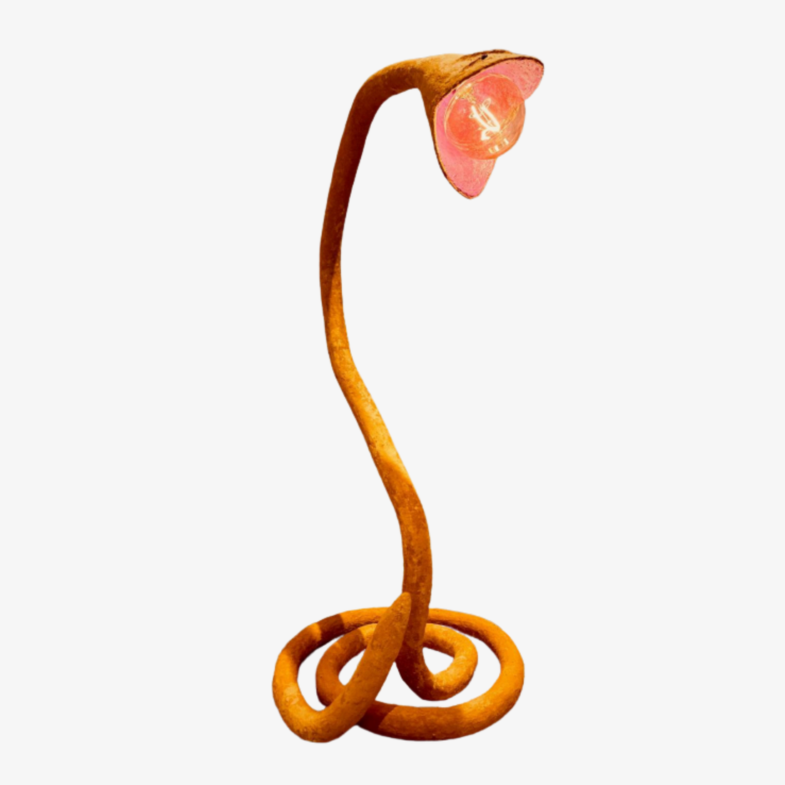 Anaconda Lamp