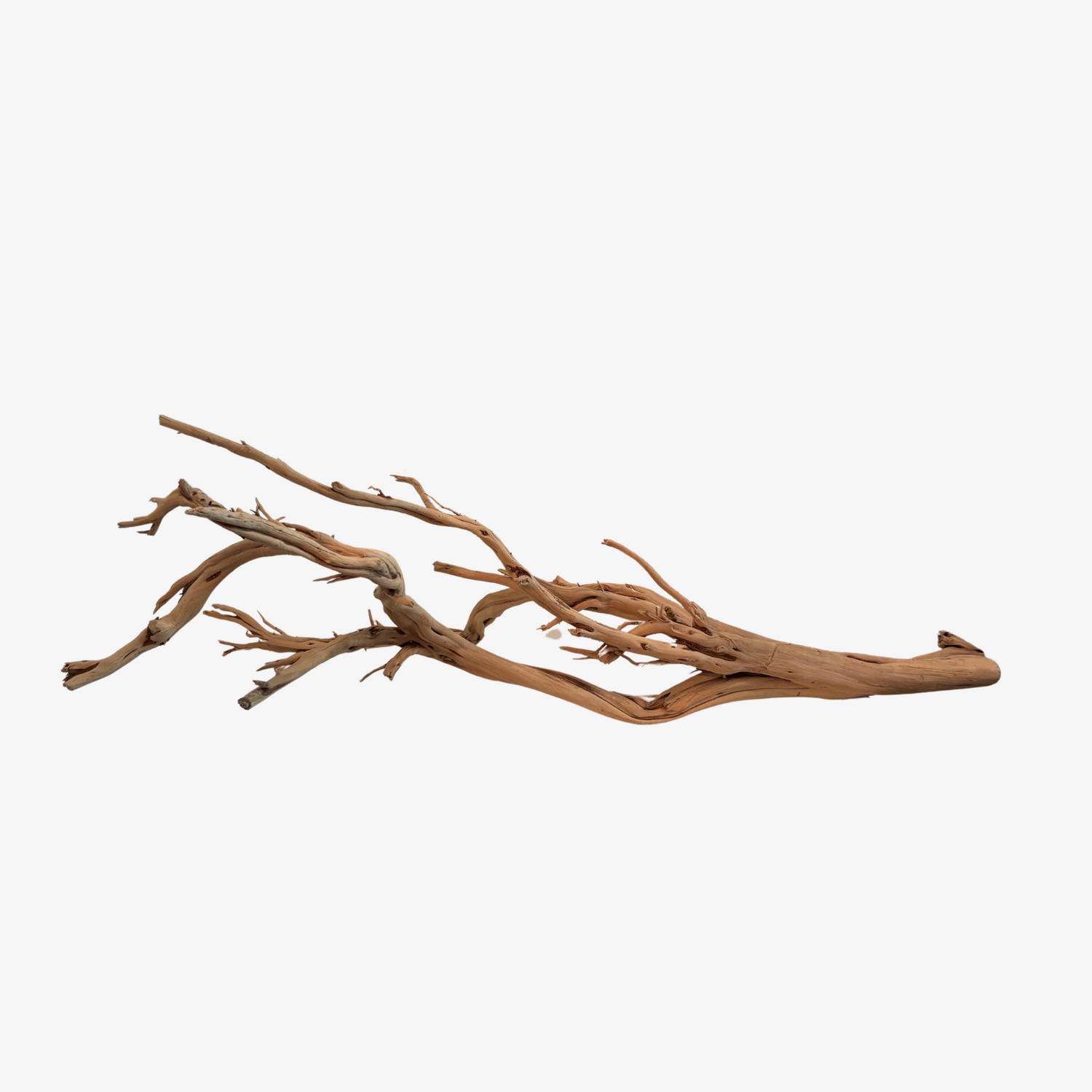 Drift Wood Branch