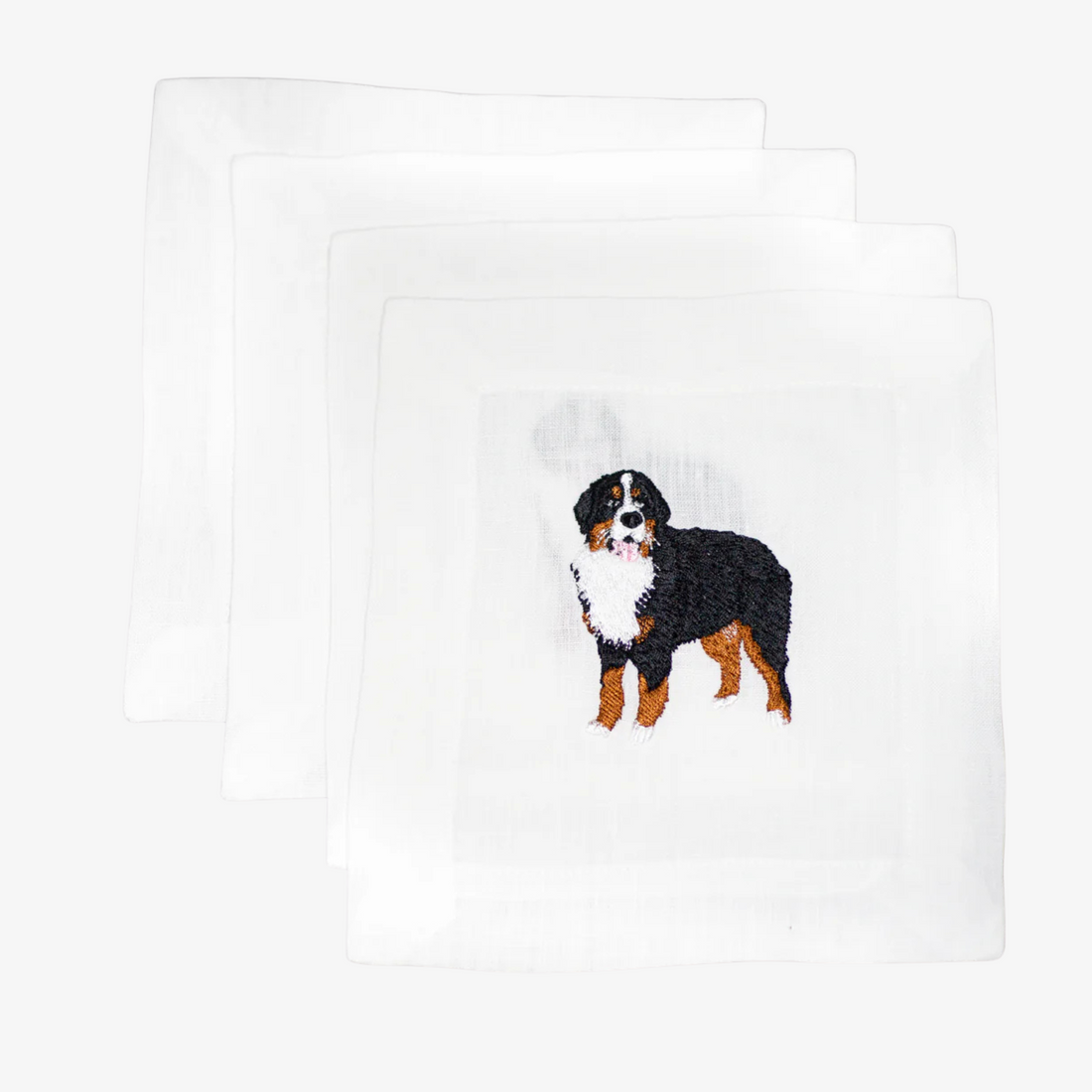 Bernese Mountain Dog