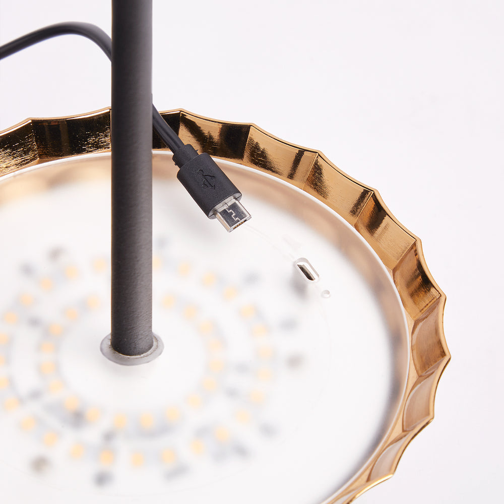 Twinky Cordless Floor Lamp