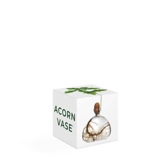 Acorn Vase  - Clear