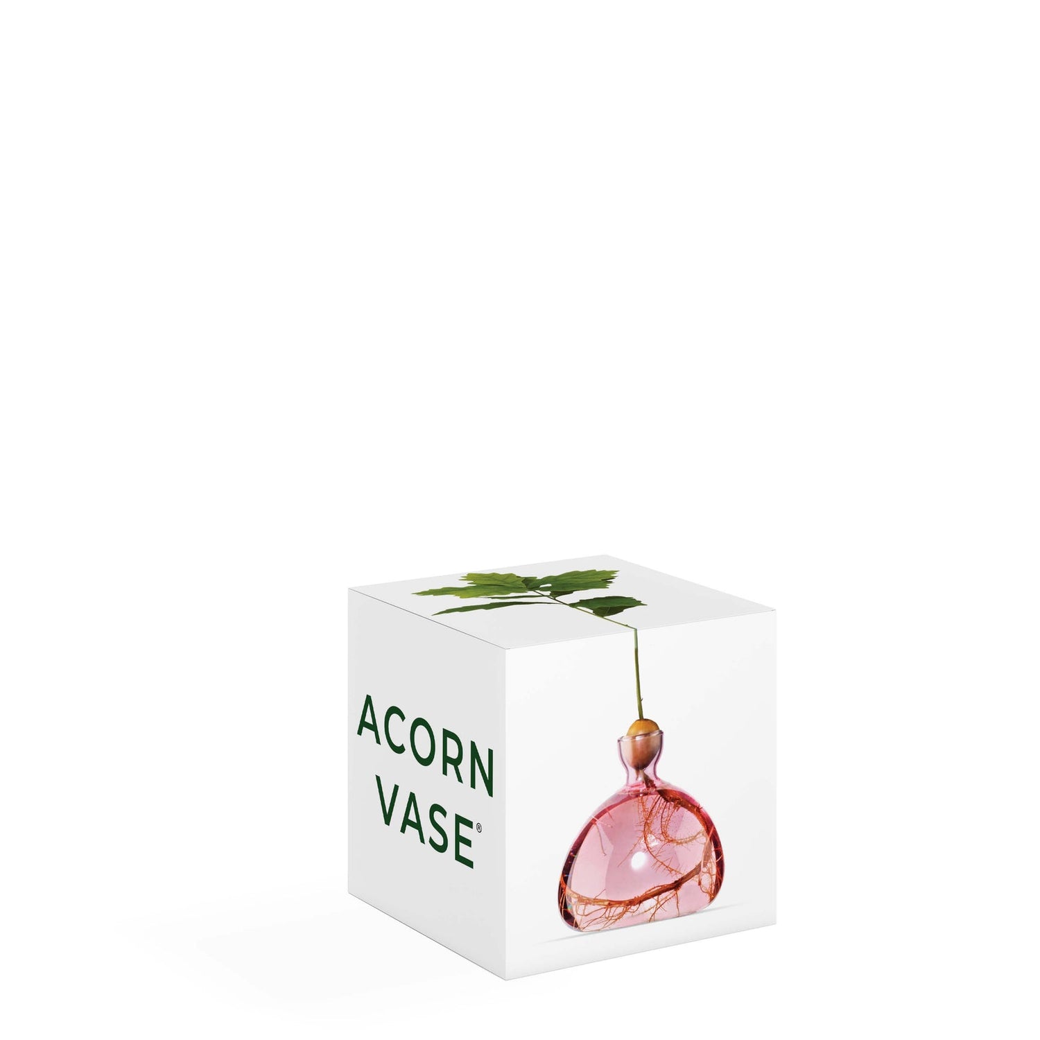 Acorn Vase - Rose Pink