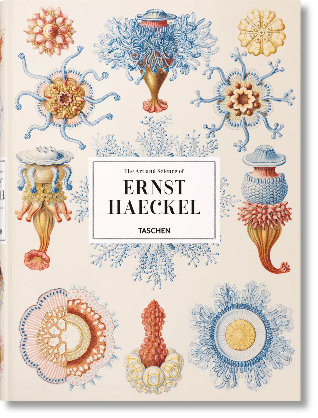 The Art and Science of Ernst Haeckel XXL