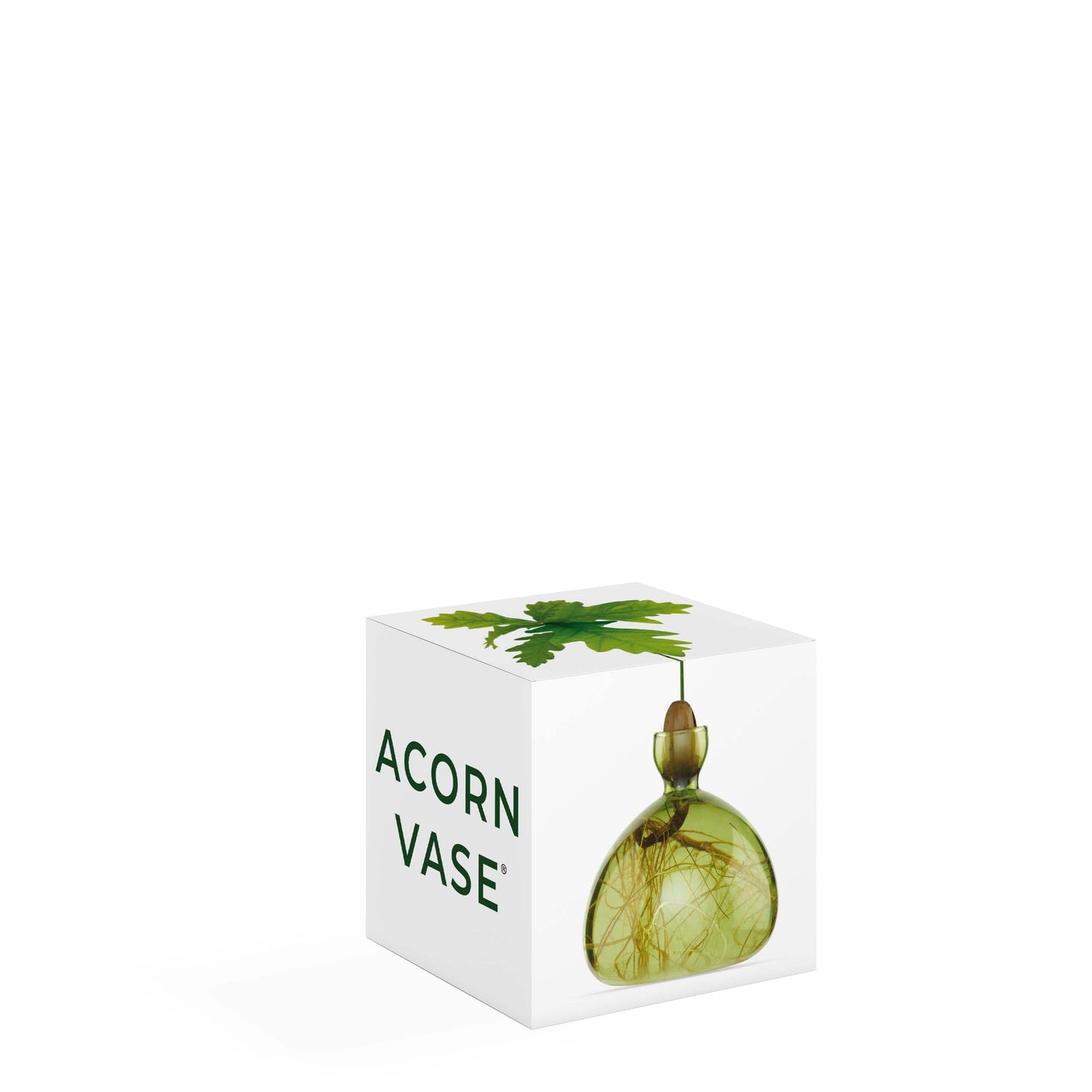 Acorn Vase  - Green