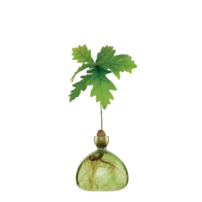 Acorn Vase  - Green