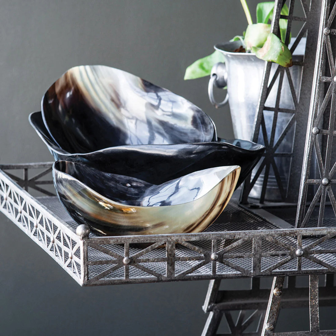 Cow Horn Bowl Large